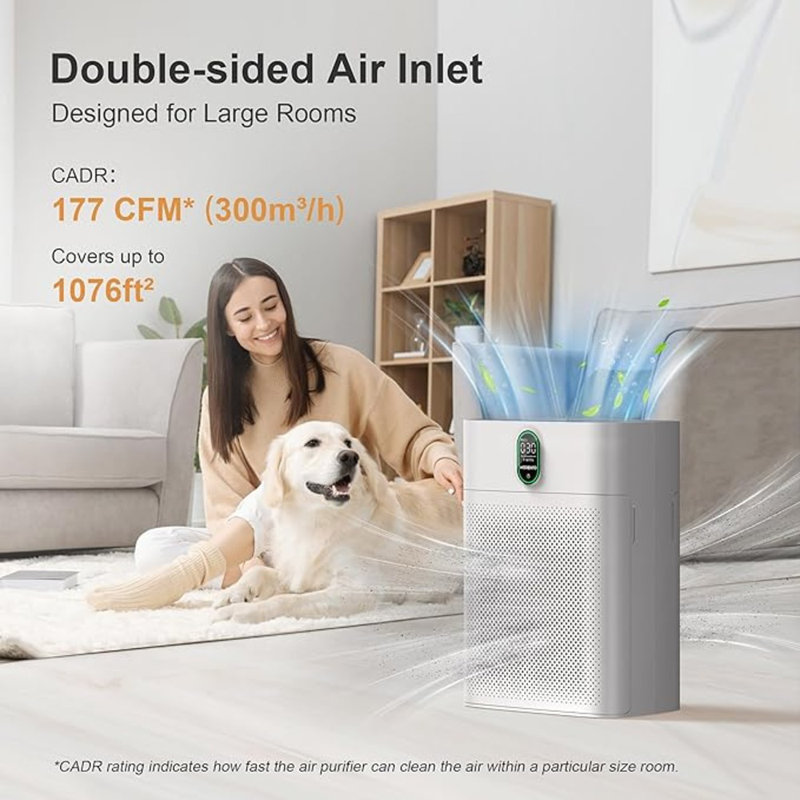 Quiet air purifier for large rooms discount
